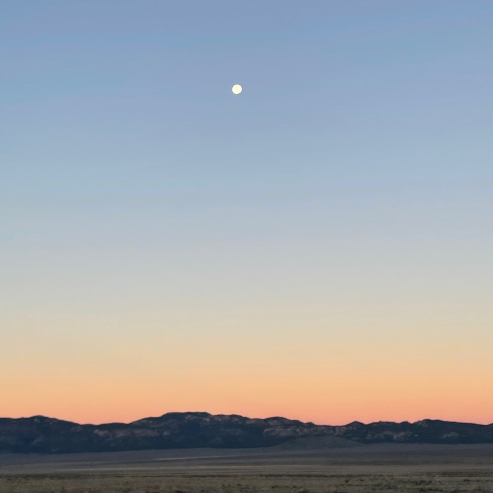 Meet your Posher, Tee